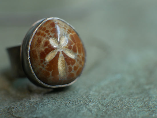 Star of the Seas — A Fossilized Sea Biscuit Adjustable Ring in Oxidized Sterling Silver and 14kt Gold — Size 8 1/2 to 9/12