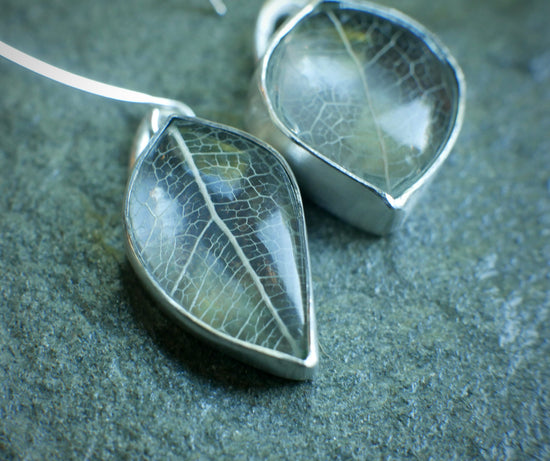 Silver Foliage