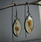 Snow Melt — A Pair of Dendritic Agate Drop Earrings in Oxidized Silver