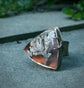 Cranberry Bog Ring — A Plume Agate Statement Ring in Oxidized Sterling Silver — Size 9 1/4