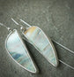 Between Land and Sea — A Pair of Petrified Wood Opal Earrings in Sterling Silver