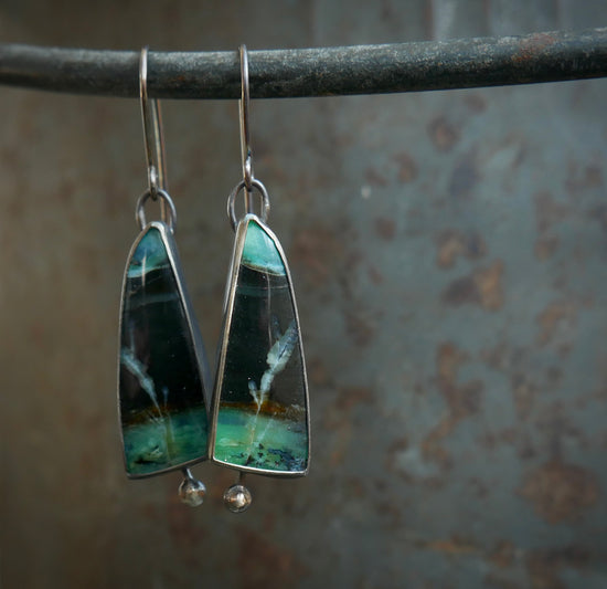 Seedlings of Change — A Rare Pair of Opalized Wood Dangle Earrings in Oxidized Sterling Silver and 14kt Gold