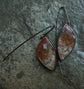 Sugar Maples — A Pair of Plume Opalized Petrified Wood Dangle Earrings in Oxidized Sterling Silver