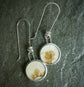 Wild Prairies — A Pair of Dendritic Agate Dangle Earrings in Sterling Silver