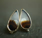 Whispering Hills — A Pair of Landscape Dendritic Agate Studs in Sterling Silver and Gold