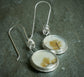Wild Prairies — A Pair of Dendritic Agate Dangle Earrings in Sterling Silver