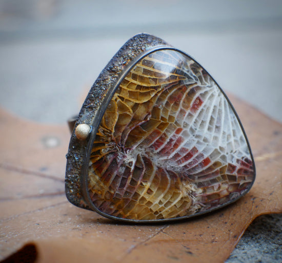 The Transition — A Fossilized Coral Ring in Oxidized Sterling Silver and 14kt Gold — Size 8