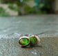 Alligator Eyes — A Pair of Ammolite Stud Earrings in Sterling Silver and 14kt Gold