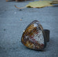 The Transition — A Fossilized Coral Ring in Oxidized Sterling Silver and 14kt Gold — Size 8