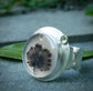 Verdant Keepsake Ring — A Dendritic Agate and Peridot Ring in Sterling Silver — Size 7 3/4 to 8 1/2