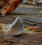 Silver Foliage 