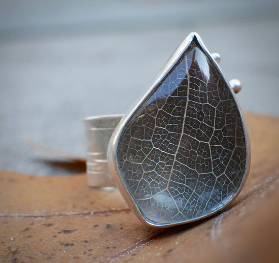 Silver Foliage 