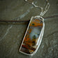 Autumn’s Gold - A Petrified Wood Opal Pendant Necklace in Sterling Silver