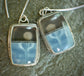 Ocean Reflections — A Pair of Owyhee Opal Dangle Earrings in Oxidized Sterling Silver