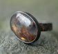 Darkened Light — A Moss Agate Ring in Oxidized Sterling Silver and Solid 14kt Gold — Size 6 1/4