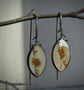 Snow Melt — A Pair of Dendritic Agate Drop Earrings in Oxidized Silver