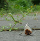 Forest Plumes — A Dendritic Agate Ring in Sterling Silver — Size 8 1/4