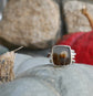 Twisted Beams — A Landscape Dendritic Agate Ring in Sterling Silver — Size 6