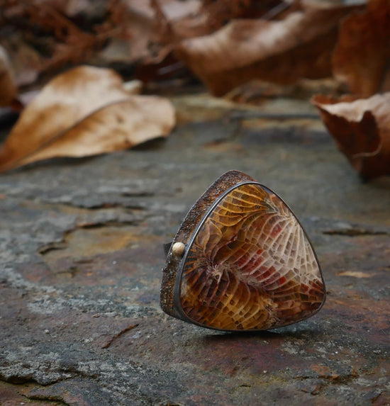 The Transition — A Fossilized Coral Ring in Oxidized Sterling Silver and 14kt Gold — Size 8