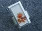 Scarlett Blooms — An Orange Red Dendritic Agate Ring in Sterling Silver — Size 6