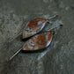 Sugar Maples — A Pair of Plume Opalized Petrified Wood Dangle Earrings in Oxidized Sterling Silver