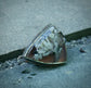 Cranberry Bog Ring — A Plume Agate Statement Ring in Oxidized Sterling Silver — Size 9 1/4