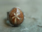 Star of the Seas — A Fossilized Sea Biscuit Adjustable Ring in Oxidized Sterling Silver and 14kt Gold — Size 8 1/2 to 9/12