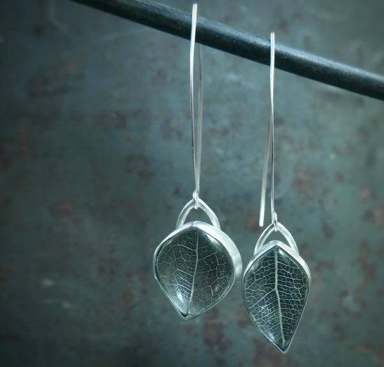 Silver Foliage 