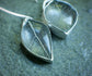 Silver Foliage 