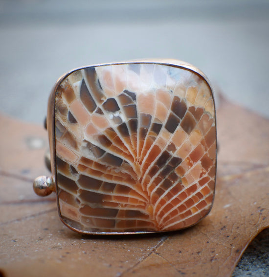 Cardinal Feather — A Fossilized Coral Ring in Oxidized Sterling Silver and 14kt Gold — Size 8 1/2