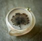 Verdant Keepsake Ring — A Dendritic Agate and Peridot Ring in Sterling Silver — Size 7 3/4 to 8 1/2
