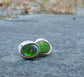 Alligator Eyes — A Pair of Ammolite Stud Earrings in Sterling Silver and 14kt Gold