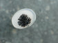 Hydrangea in Bloom — A Dendritic Agate Ring in Sterling Silver — Size 6 3/4