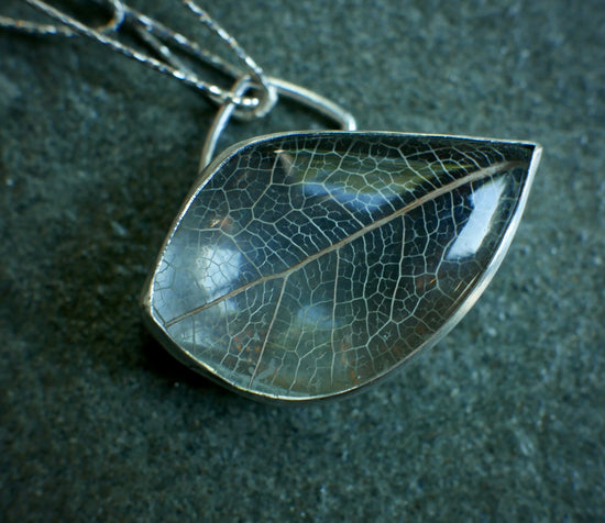 Silver Foliage 