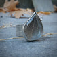 Silver Foliage 