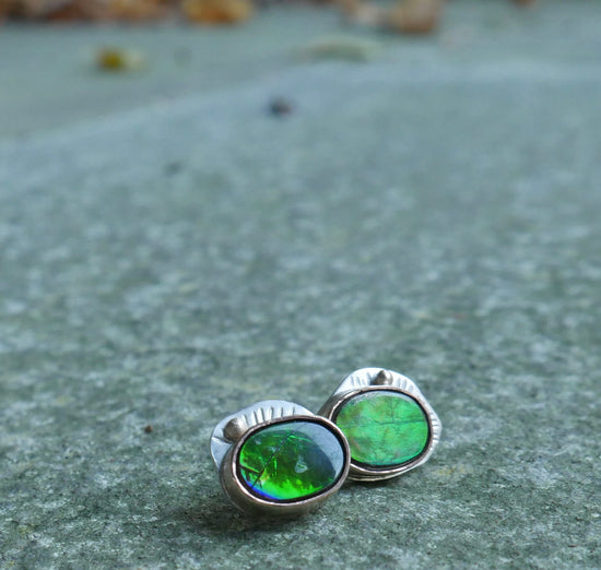 Alligator Eyes — A Pair of Ammolite Stud Earrings in Sterling Silver and 14kt Gold