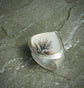 Bulbs in Bloom — A Dendritic Agate Ring in Sterling Silver — Size 9