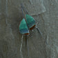 High Tide — A Pair of Petrified Wood Drop Earrings in Oxidized Sterling Silver