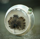 Verdant Keepsake Ring — A Dendritic Agate and Peridot Ring in Sterling Silver — Size 7 3/4 to 8 1/2