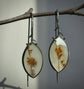 Snow Melt — A Pair of Dendritic Agate Drop Earrings in Oxidized Silver