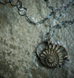 Ancient Seas 