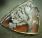 Cranberry Bog Ring — A Plume Agate Statement Ring in Oxidized Sterling Silver — Size 9 1/4