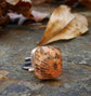 Cardinal Feather — A Fossilized Coral Ring in Oxidized Sterling Silver and 14kt Gold — Size 8 1/2