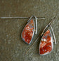 Art Class Prints — A Pair of Petrified Opalized Wood Dangle Earrings in Oxidized Sterling Silver