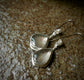 Silver Foliage — A Pair of Skeleton Leaf Clear Quartz Dangle Earrings in Sterling Silver
