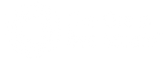 The Green Bee Studio