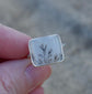 Twiggy Expanse — A Dendritic Agate Ring in Sterling Silver — Size 6