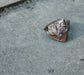 Cranberry Bog Ring — A Plume Agate Statement Ring in Oxidized Sterling Silver — Size 9 1/4