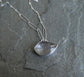 Silver Foliage 