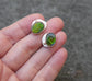 Alligator Eyes — A Pair of Ammolite Stud Earrings in Sterling Silver and 14kt Gold